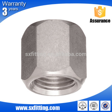 Bsp Threaded Cap Pipe Fitting