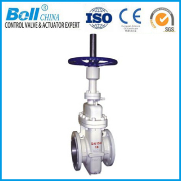 flap steam gate valve