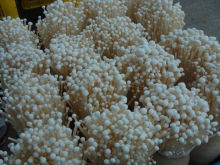 fresh mushroom(enoki)