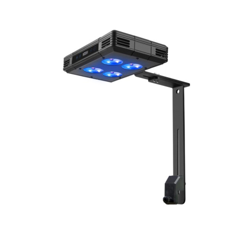 Volles Spektrum Aquarium LED Korallenriffleuchten 52W