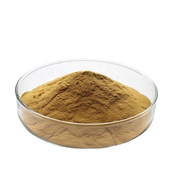 Water Soluble Ginger Extract Ginger Root Extract Powder