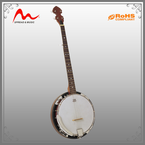 Professional banjo for sale with rapid delivery