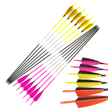 Pure Carbon Fiber Arrow Shafts with Turkey Feathers for Compound and Recurve Bows - Spine 250-1300 for Hunting