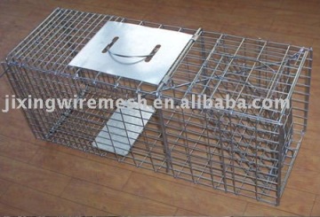 Folding squirrel trap