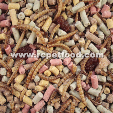 High Protein Bird Food  Wild Birds