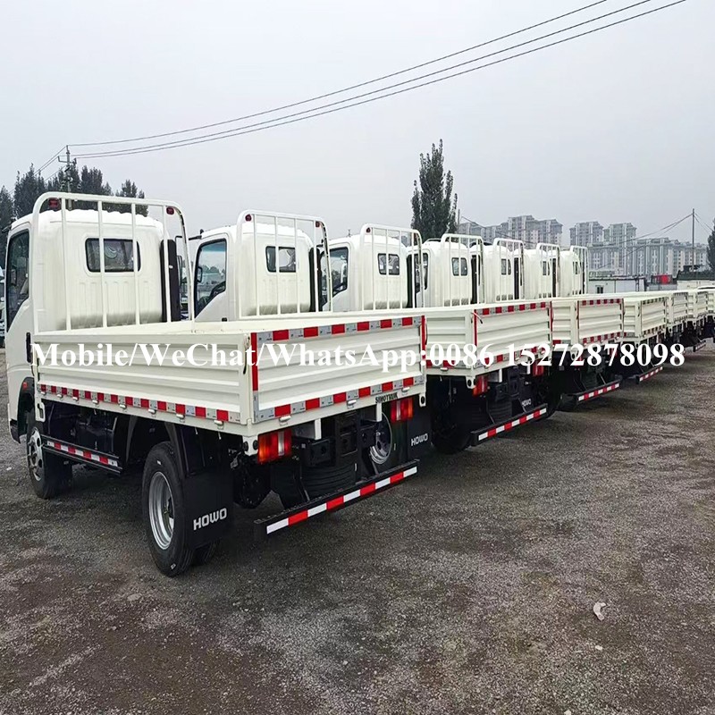 Camión de carga de Howo (11) HOWO Cargo Truck (11)