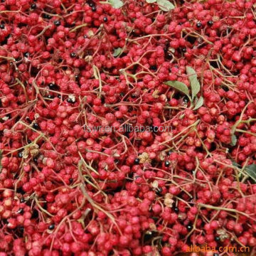 Chinese prickly ash/sichuan pepper