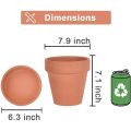 8 Inch Clay Pot for Plant with Saucer