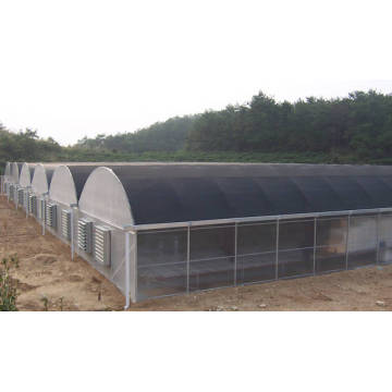 Agricultural Low Cost Plastic Film Covered Greenhouse