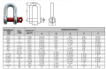 USScrew Pin Chain Shackle G210