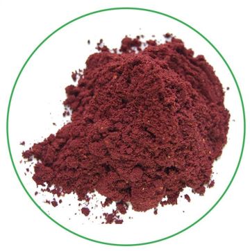 Pure natural freeze dried wild organic blueberry powder