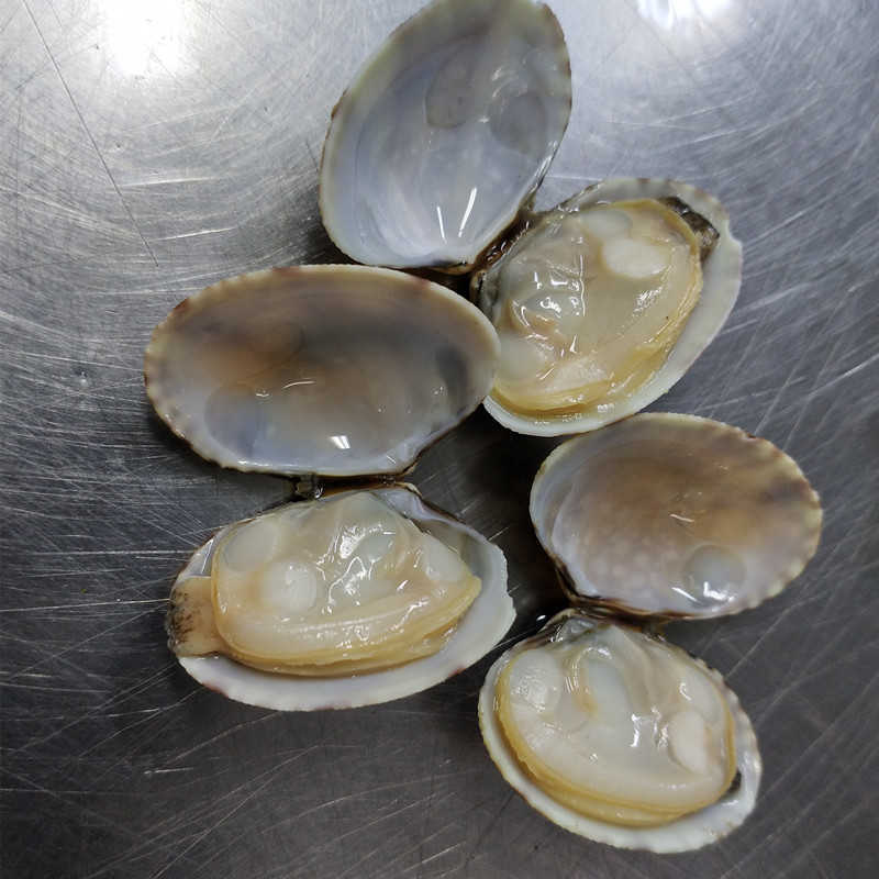 Zamrożony ugotowany małże małże w skorupce