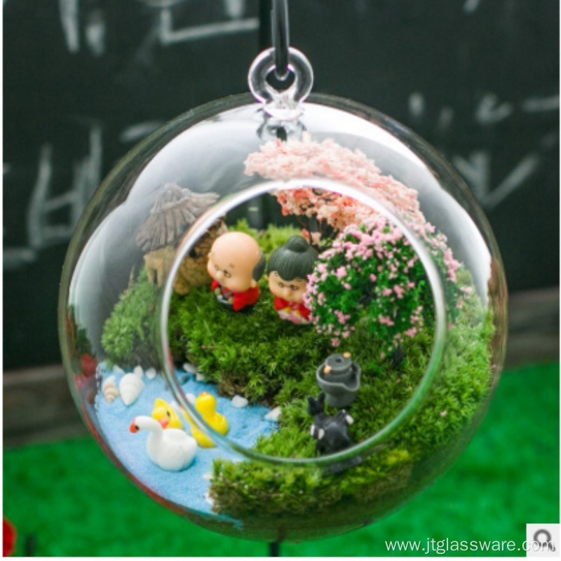 Glass Bottle Terrarium Home Decor