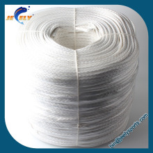 Uhmwpe fiber parapente winch line