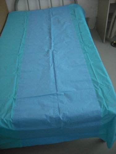 Zend Pigment Printing Bed Sheet Fabric (LP-91)