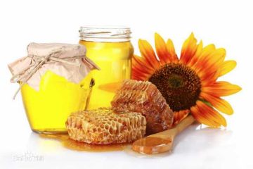 sweet yellow sunflower honey bee products