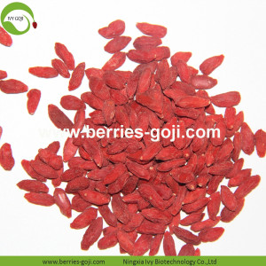 Pabrik Grosir Sun Kering Baru Panen Wolfberries