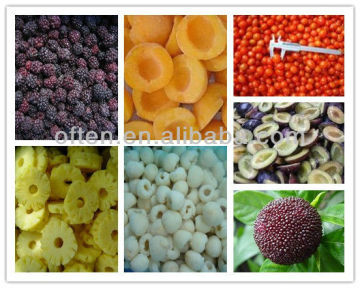 2015 hot selling item wholesale fresh frozen fruit food