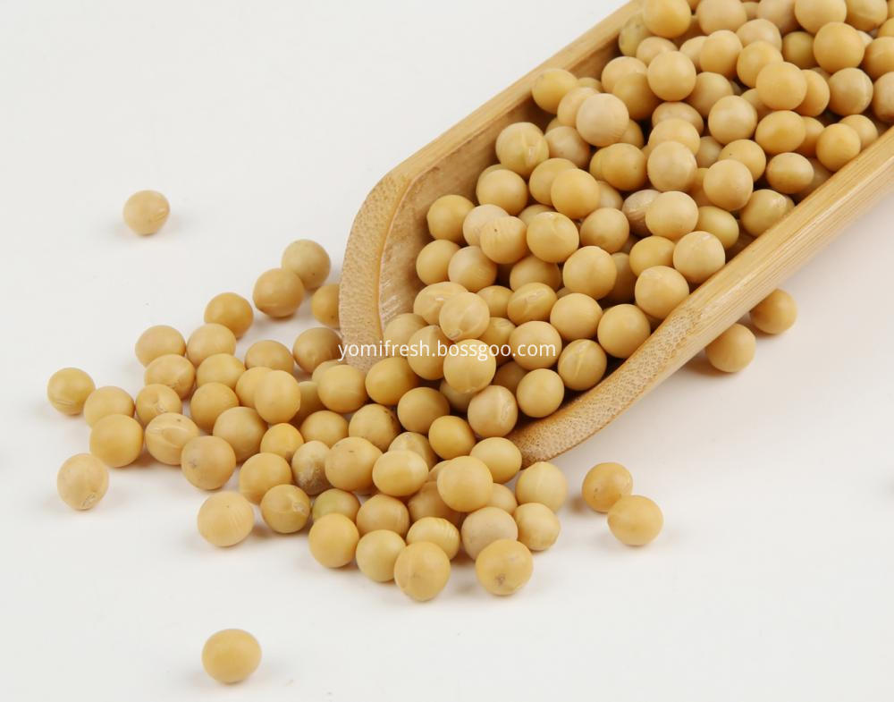 Soybean 726