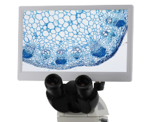 BestScope BLC-250A: Highly Cost Effective HD LCD Digital Microscope Camera