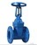 Casting CI DI GGG50 Gate Valve