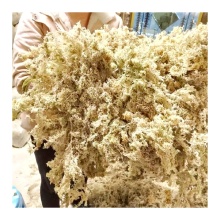 OEM Custom Sphagnum Moss Packing - 10kg/5kg Sphagnum Moss Exporter