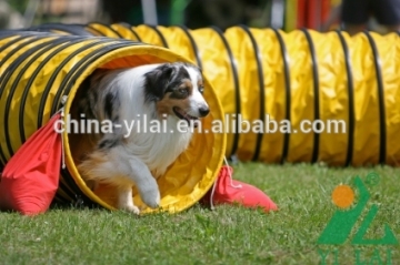 dog play tunnel