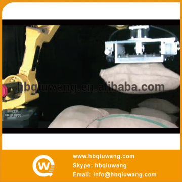 Automatic Gantry Palletizing Robot