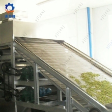 Stainless Steel Belt Dryer for Pleurotus eryngii mycelium