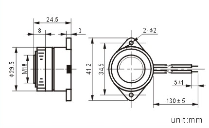 29*25mm buzzer