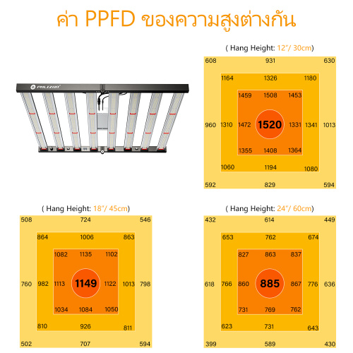 Best 640W grow light for indoor plant growing