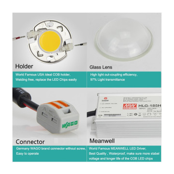 China top ten sellers orchids seedlings full spectrum apollo6 led grow light 600w