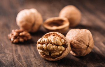 Factory Wholesale Xin 2 Walnut