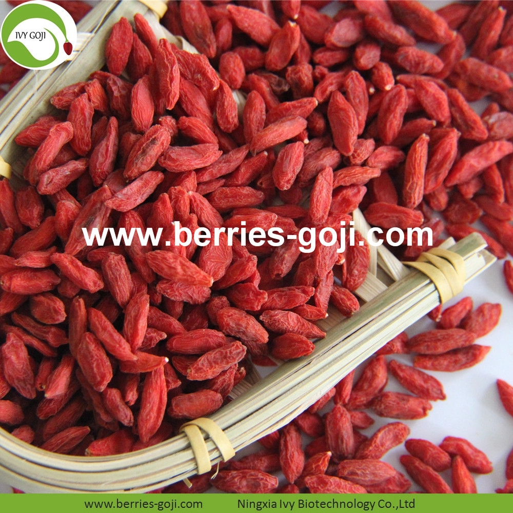 goji berry