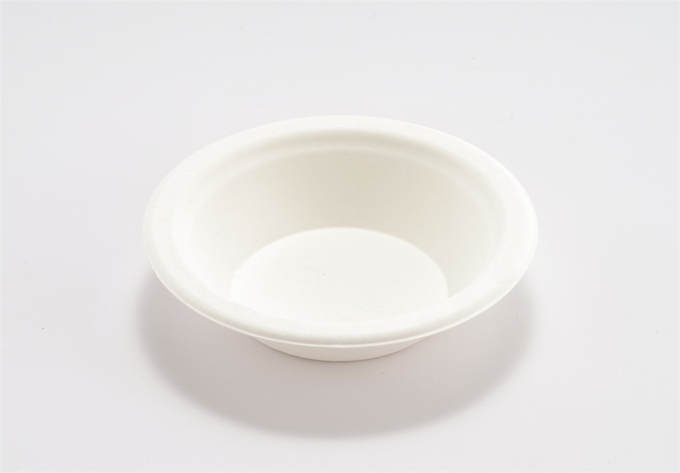 Paper Bowl