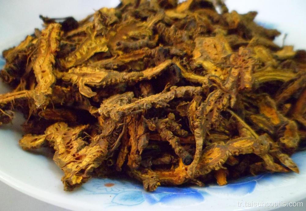 altın iplik bitki huang lian herb