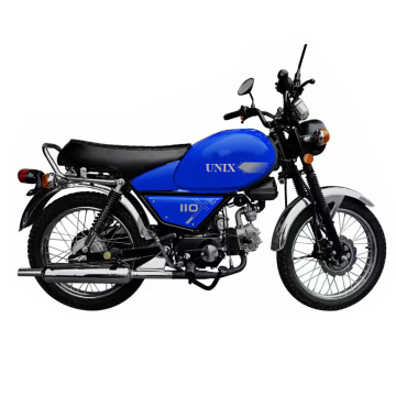 110cc Gasoline Engine Urban Street Bikes