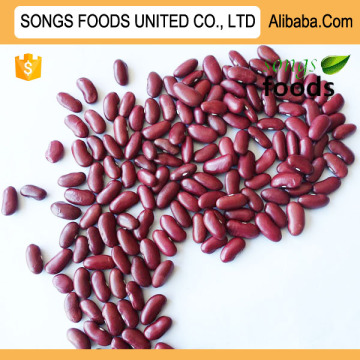 Dark Red Kidney Beans For Export