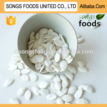 China Export Agriculture Products of Snow White Pumpkin Seeds