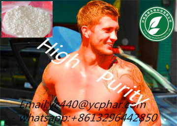 Muscle Gainning Steroid Hormones Powder Tibolon Acetate Livial CAS 5630-53-5