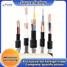 Armored Copper Core Control Cable for Building Automation