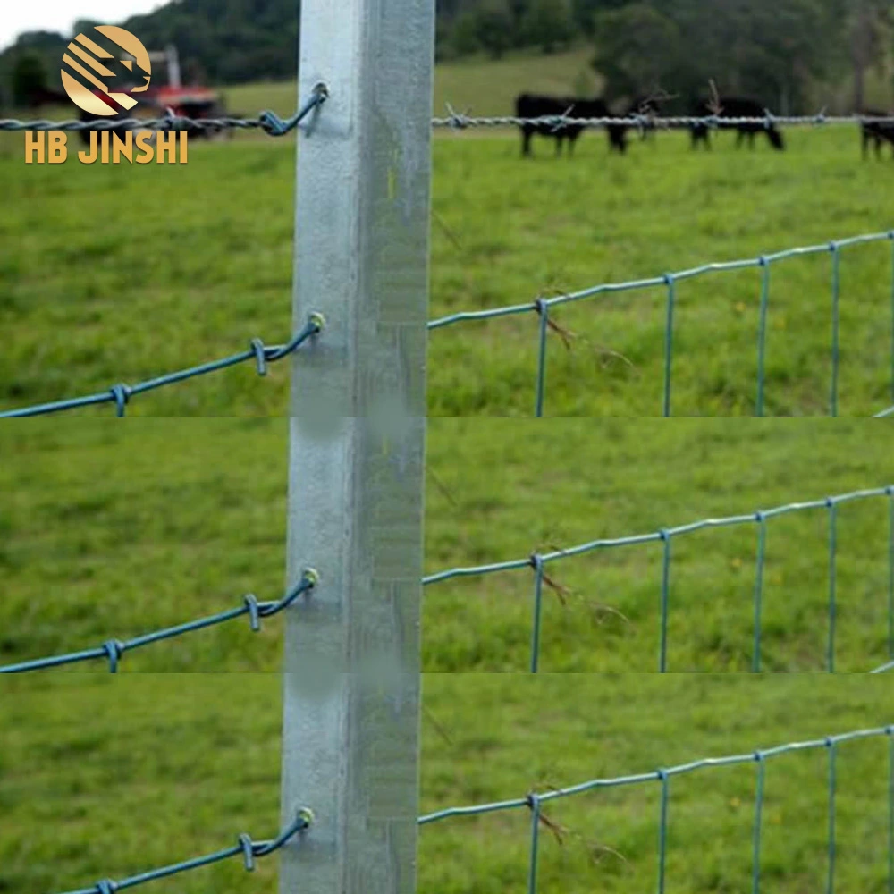 Black Bitumen Y Steel Fence Post/Australia Star Picket