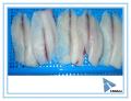 Frozen Whole Runde Tilapia Fisch