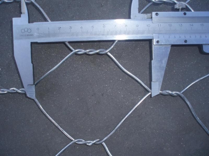 Galvanized Chicken Wire Netting