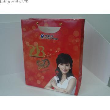 gift paper bag with diecut handle