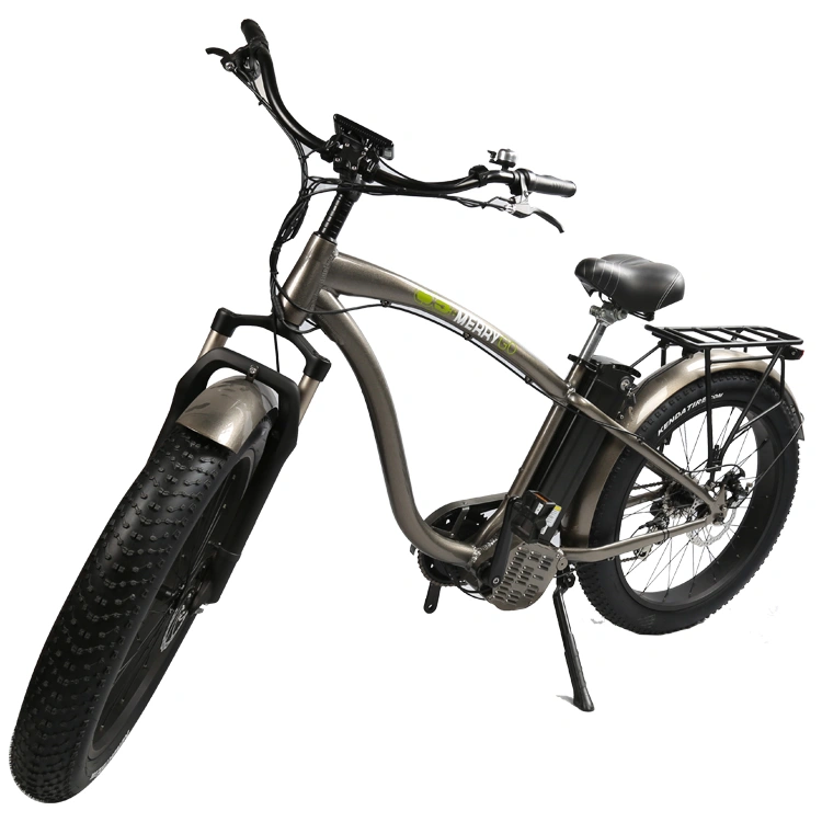 8 Speed Electric Mountain Bike / Aluminum Frame 1000W 48V 20ah Electric Bicycle