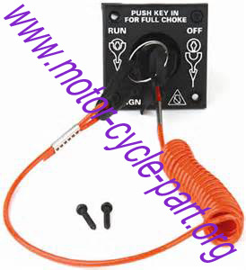 Johnson Evinrude OMC Ignition Kit with Kill Switch 0176408