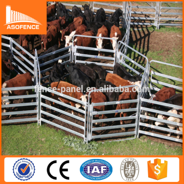 Portable 2.1x 2.4m galvanized used corral panels in united states