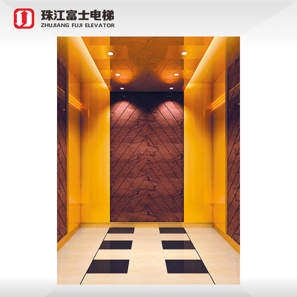 ZhuJiangFuji Brand Small Machine Room Energy Save Passenger Elevator For Building Office