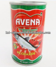 jack mackerel in tomato sauce